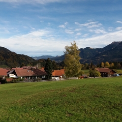 Hundetreffen 2018 im Allgäu (7)